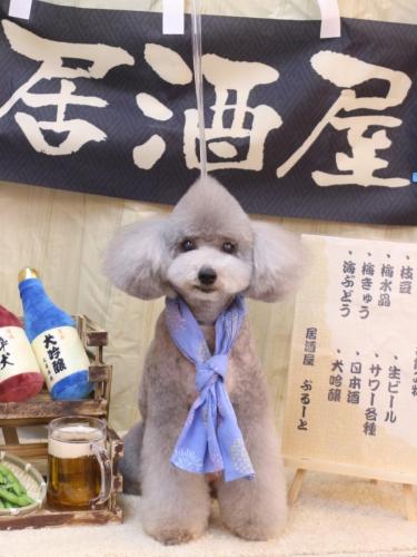 20240618宇宙くん